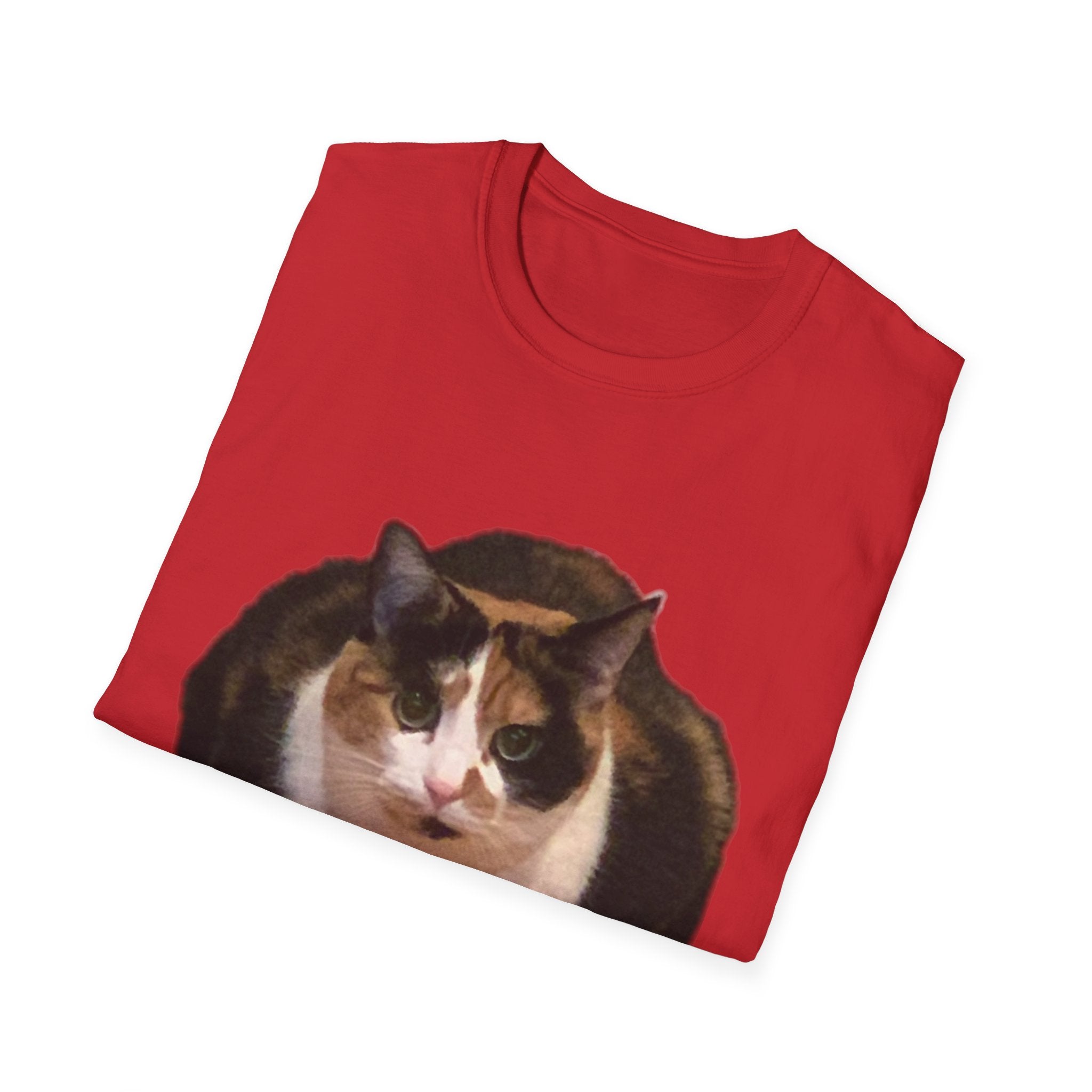 Noodle Cat Shirt