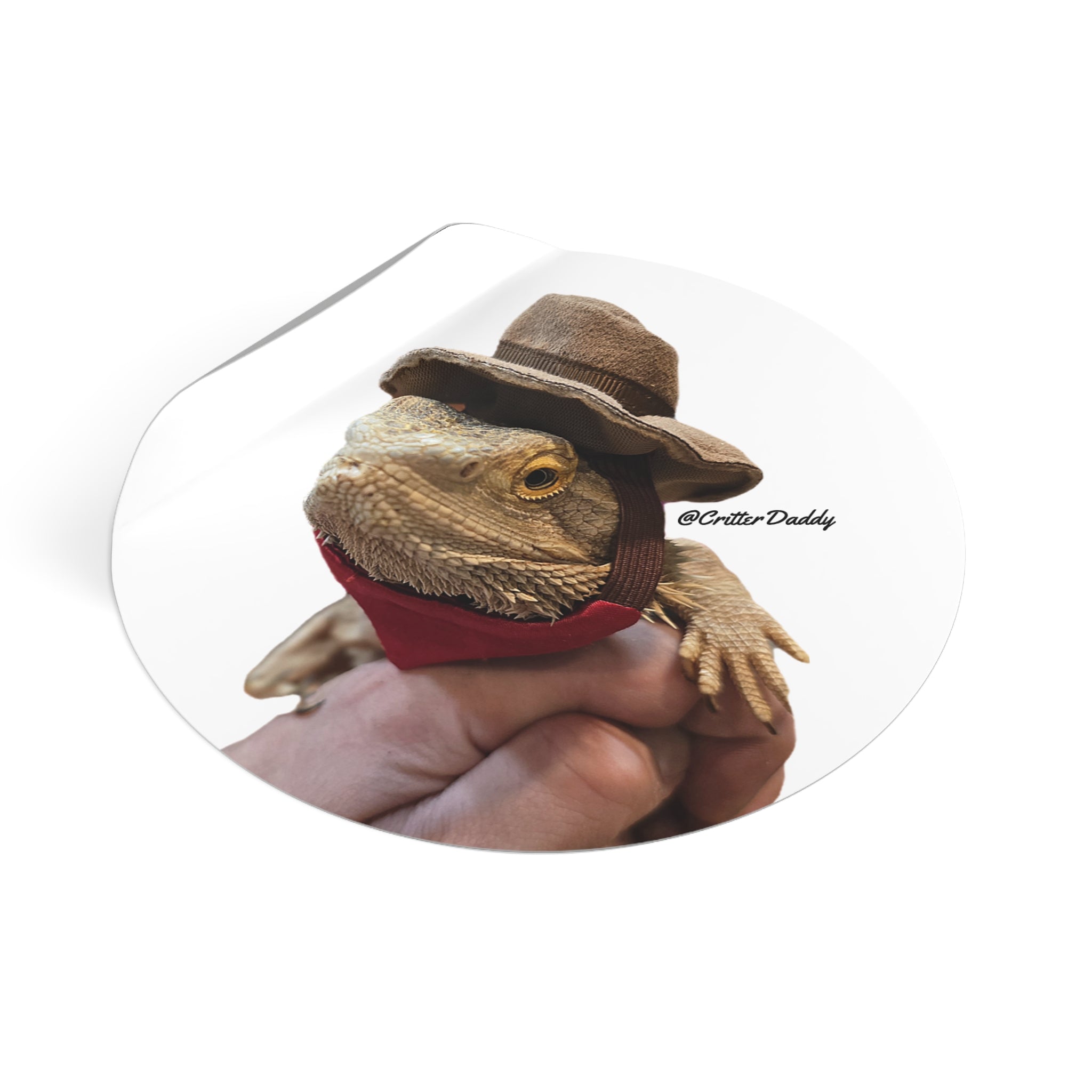 Cowboy Hercules Vinyl Sticker