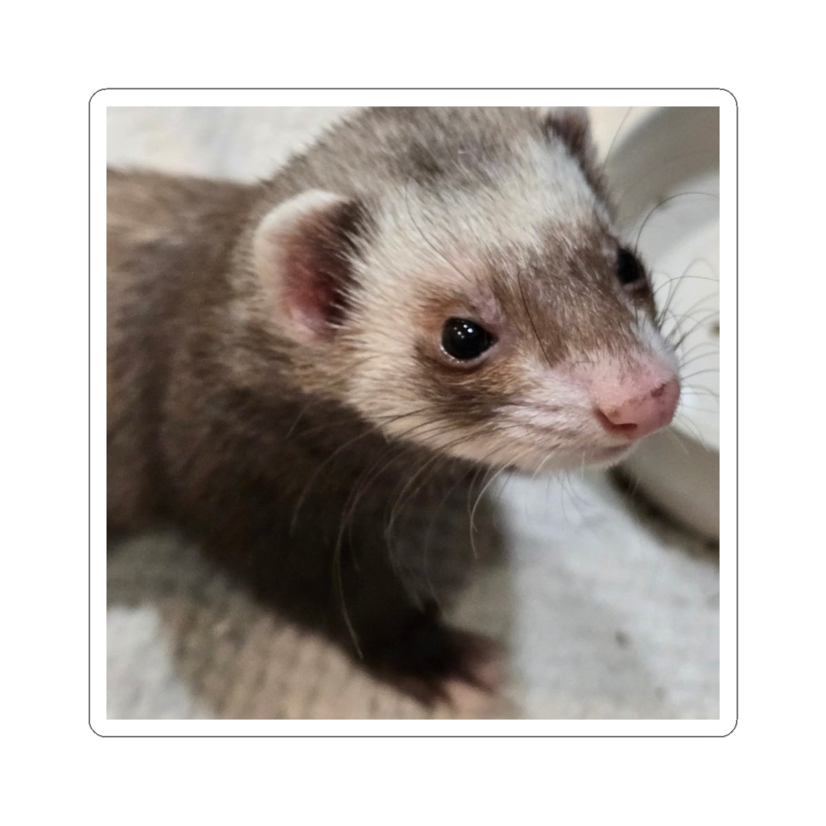 Cute Ferret Kiss-Cut Stickers for Animal Lovers, Ferret Enthusiasts, Laptop Decor, Gift Ideas, Pet Owner Stickers
