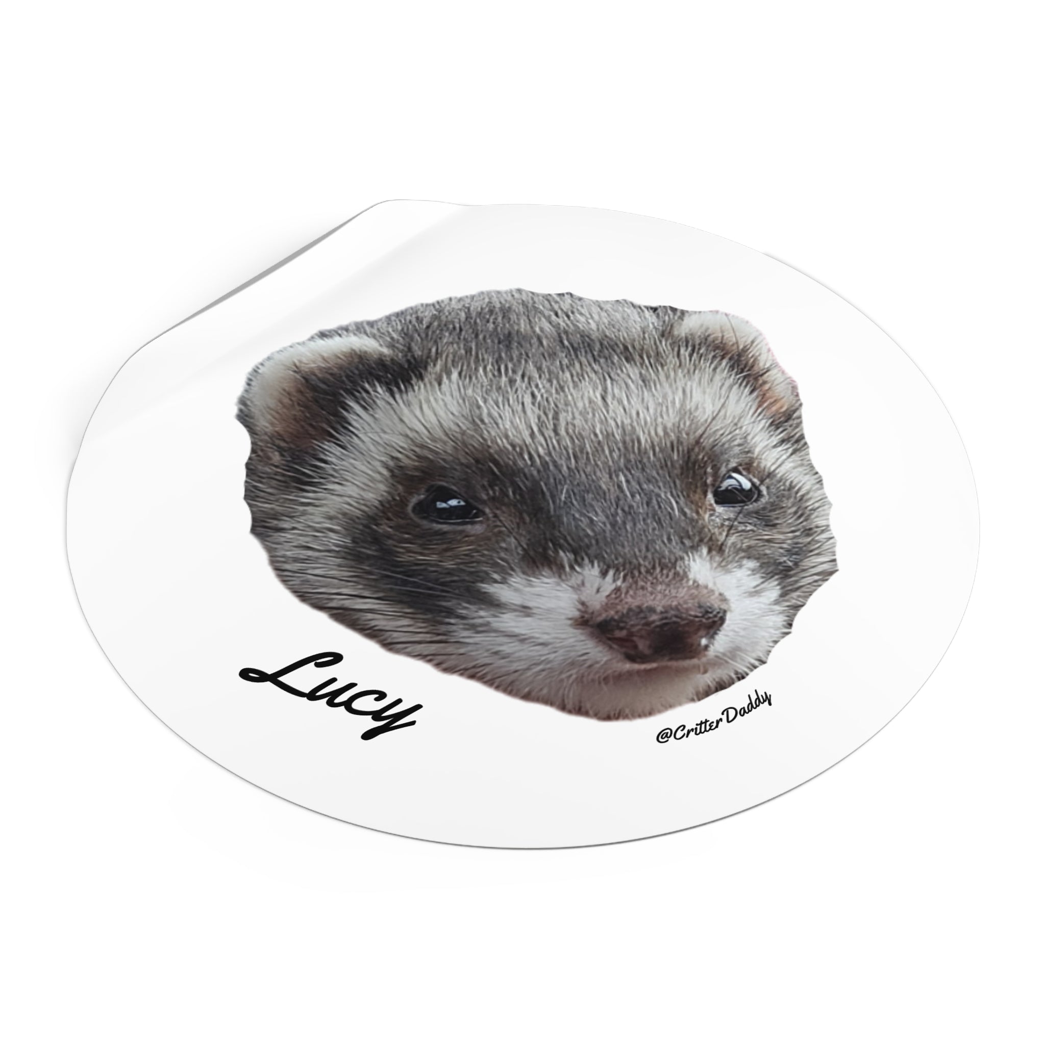 Lucy Sticker
