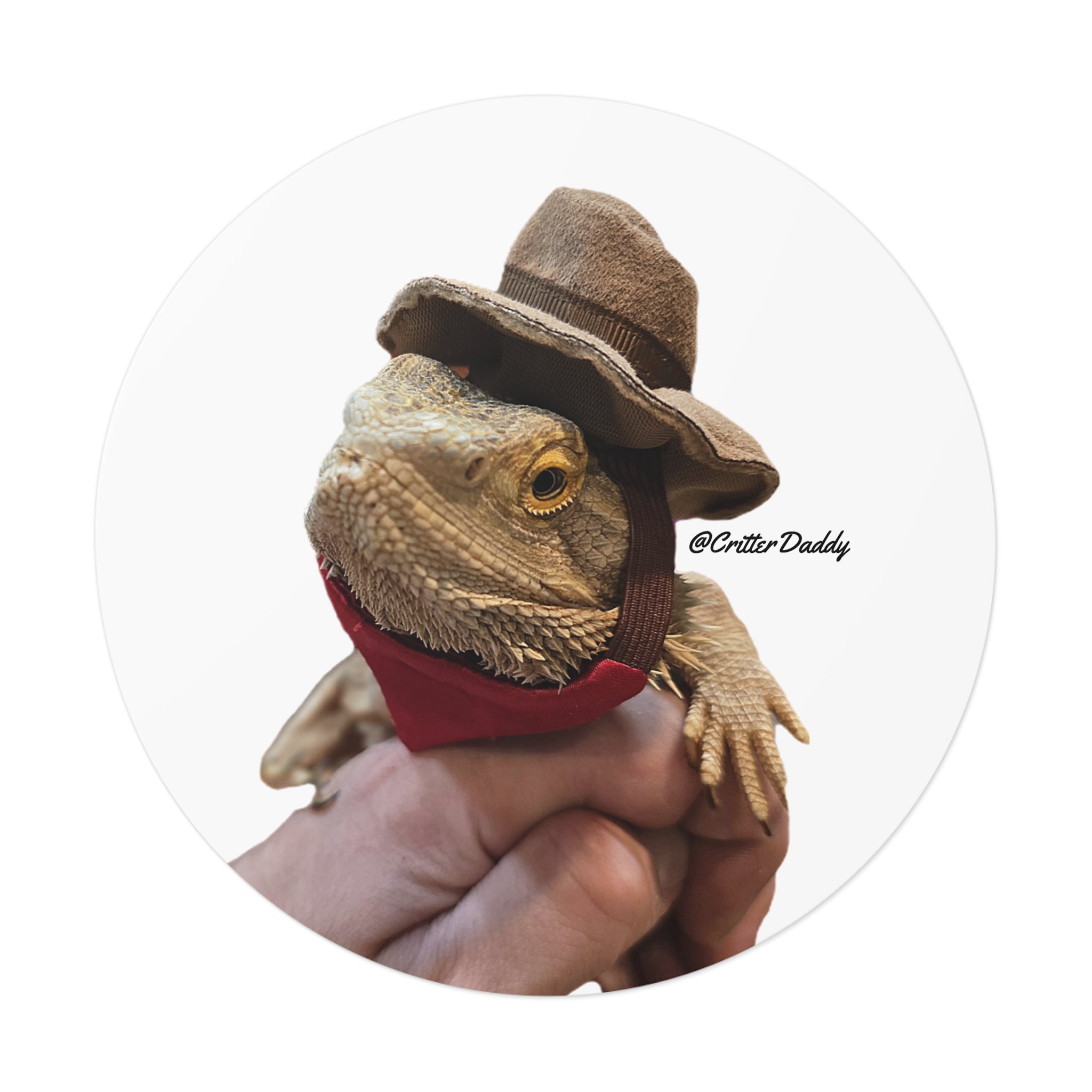 Cowboy Hercules Vinyl Sticker