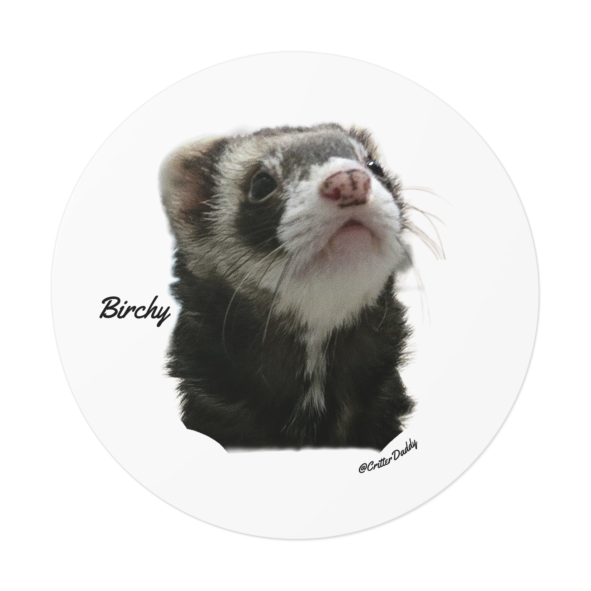Birchy Sticker