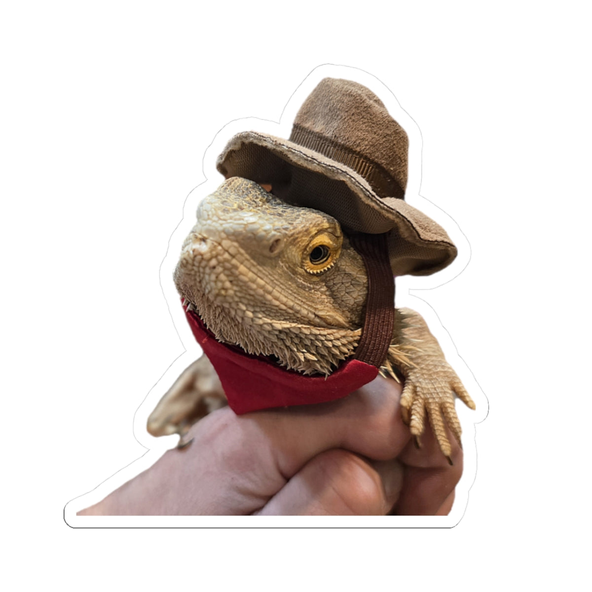 Bearded Dragon Cowboy Kiss-Cut Stickers, Fun Laptop Decals, Pet Lover Gifts, Unique Home Decor, Animal Stickers