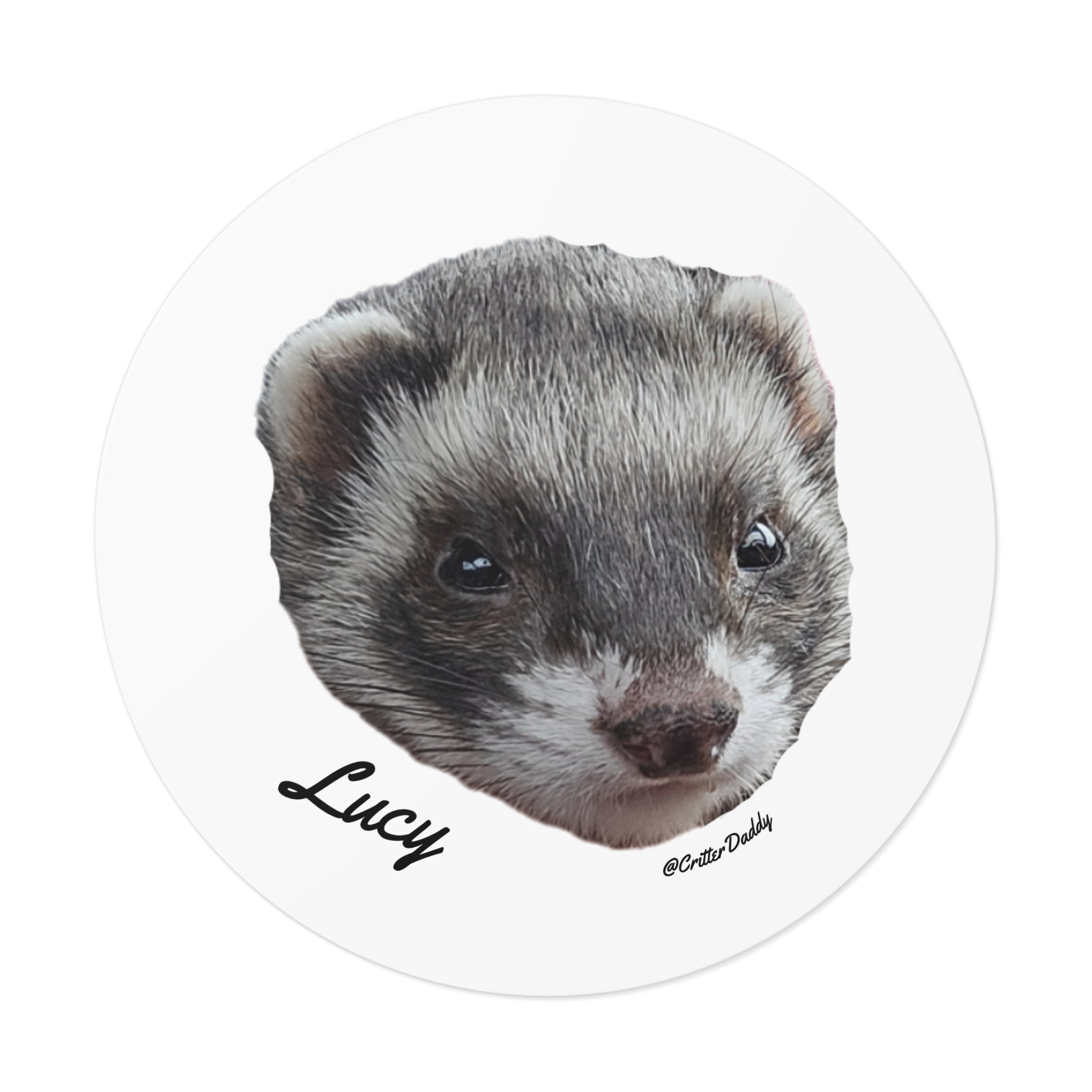 Lucy Sticker