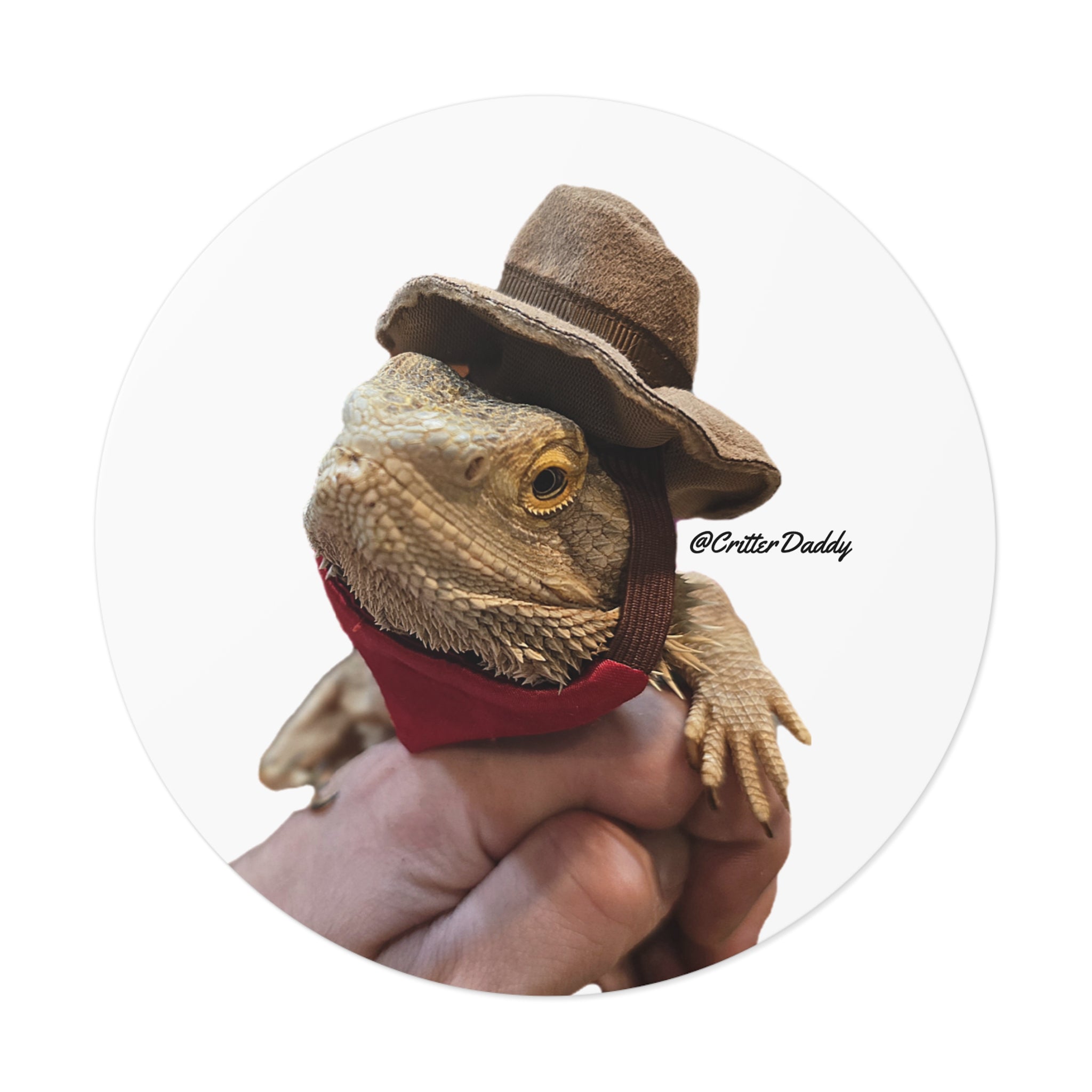 Cowboy Hercules Vinyl Sticker