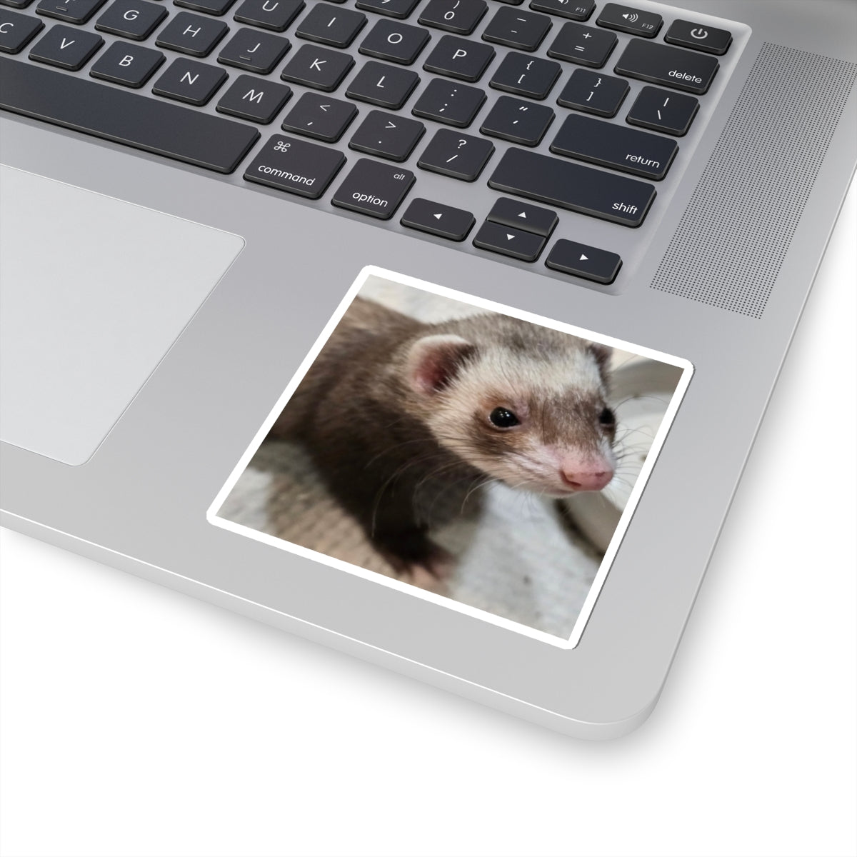 Cute Ferret Kiss-Cut Stickers for Animal Lovers, Ferret Enthusiasts, Laptop Decor, Gift Ideas, Pet Owner Stickers