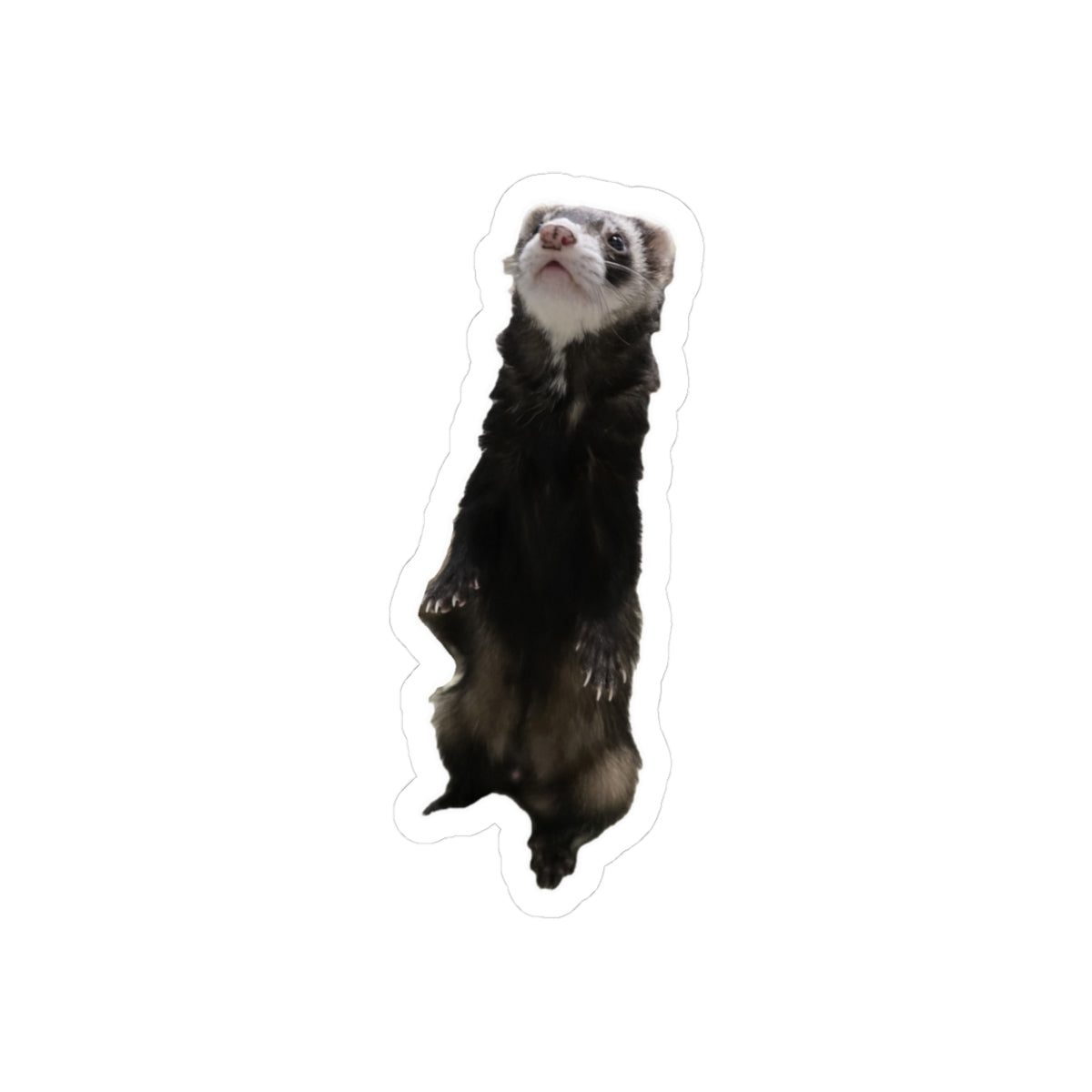 Ferret Kiss-Cut Stickers, Cute Animal Stickers, Laptop Decals, Gift for Animal Lovers, Unique Planner Decor