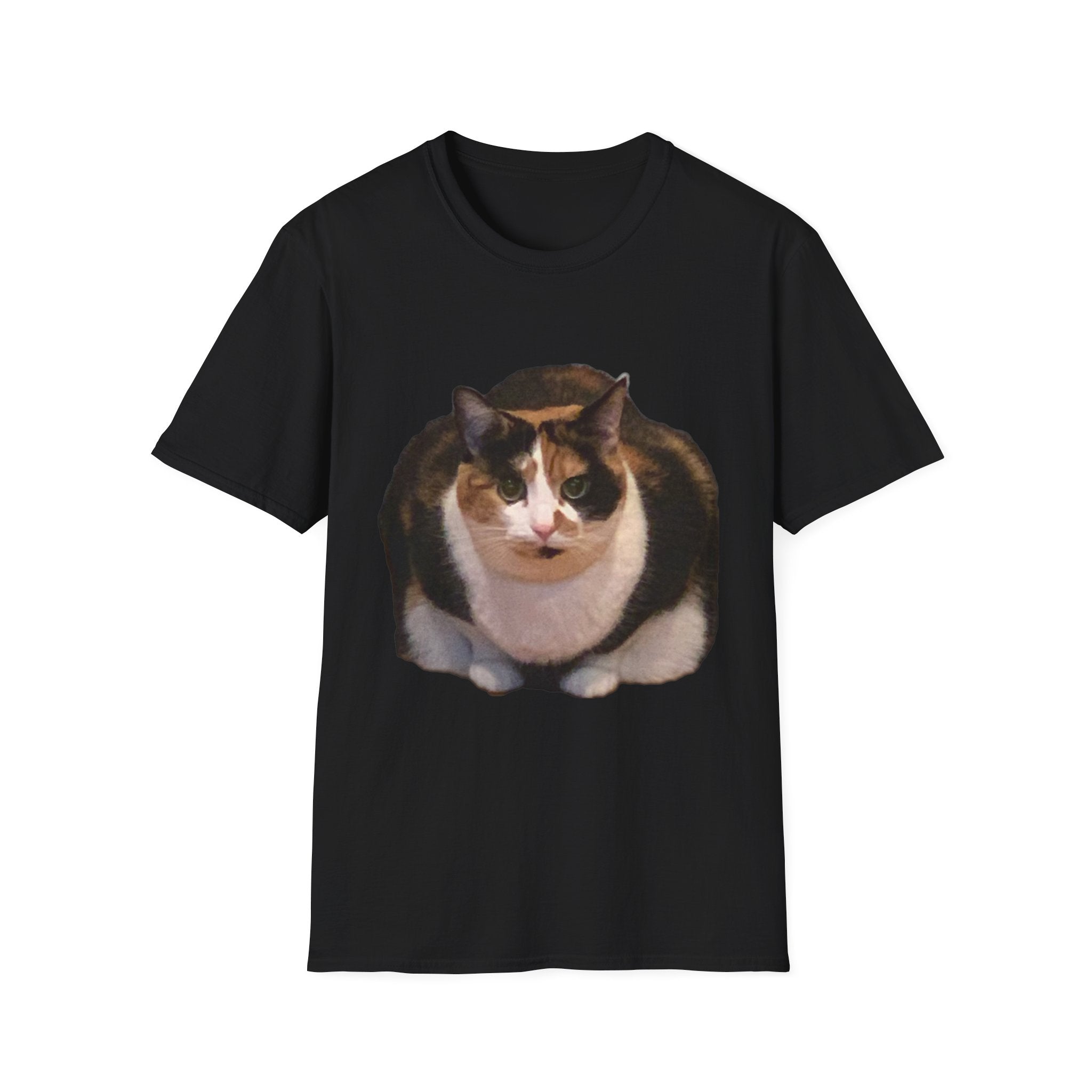 Noodle Cat Shirt