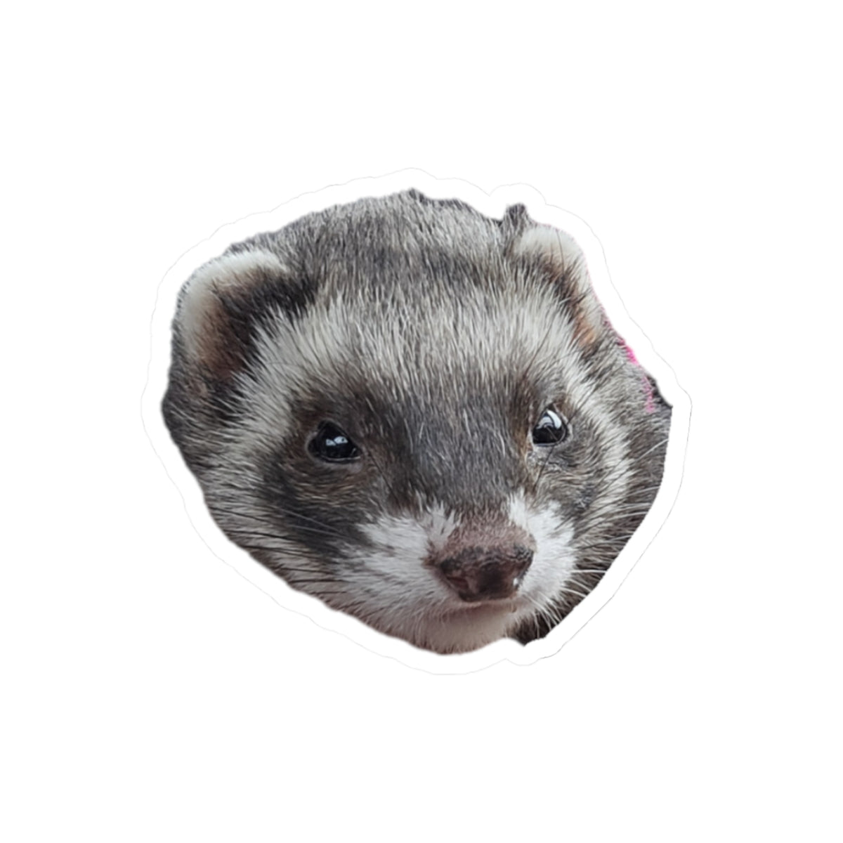 Ferret Kiss-Cut Stickers, Cute Animal Decals, Laptop Stickers, Gift for Animal Lovers, Vinyl Stickers for Scrapbooking