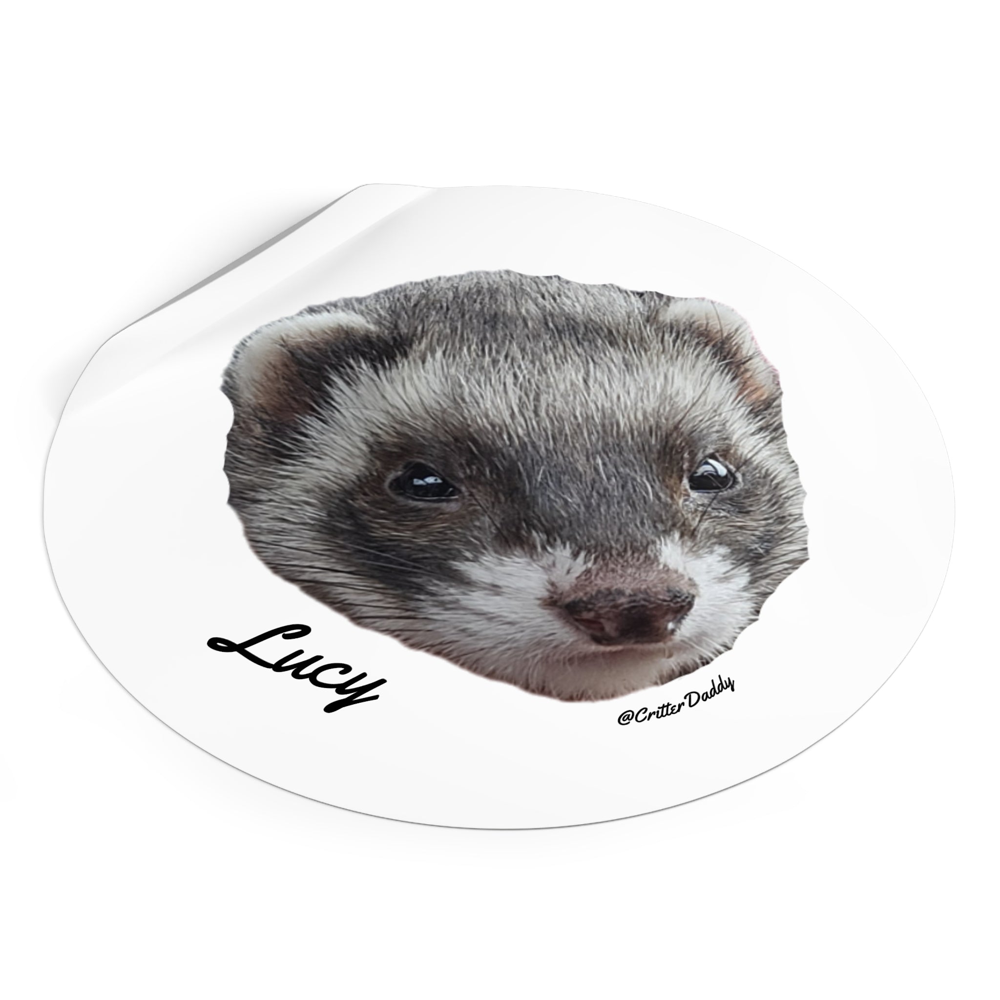 Lucy Sticker