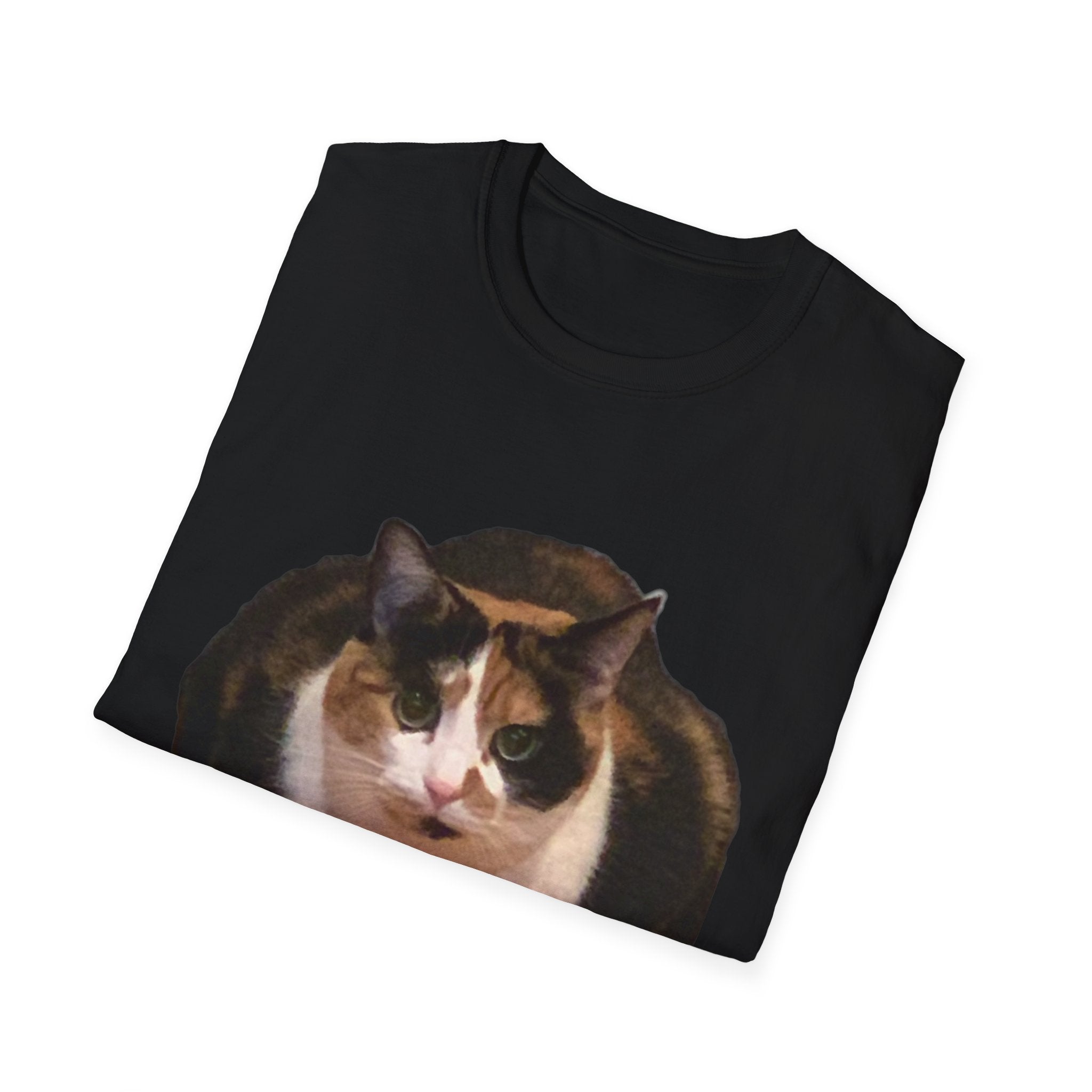 Noodle Cat Shirt