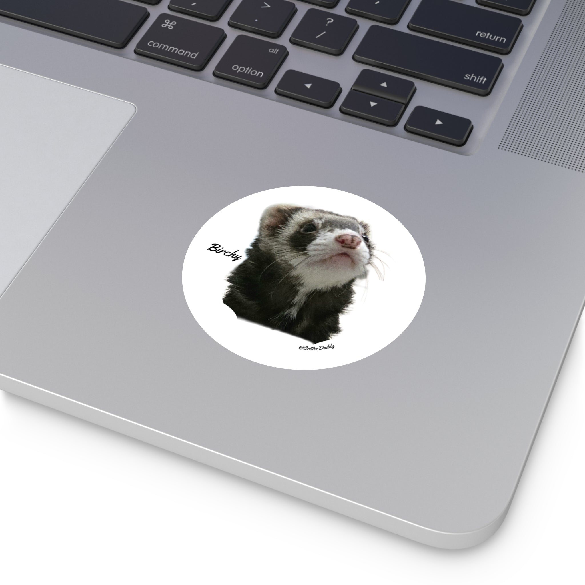 Birchy Sticker