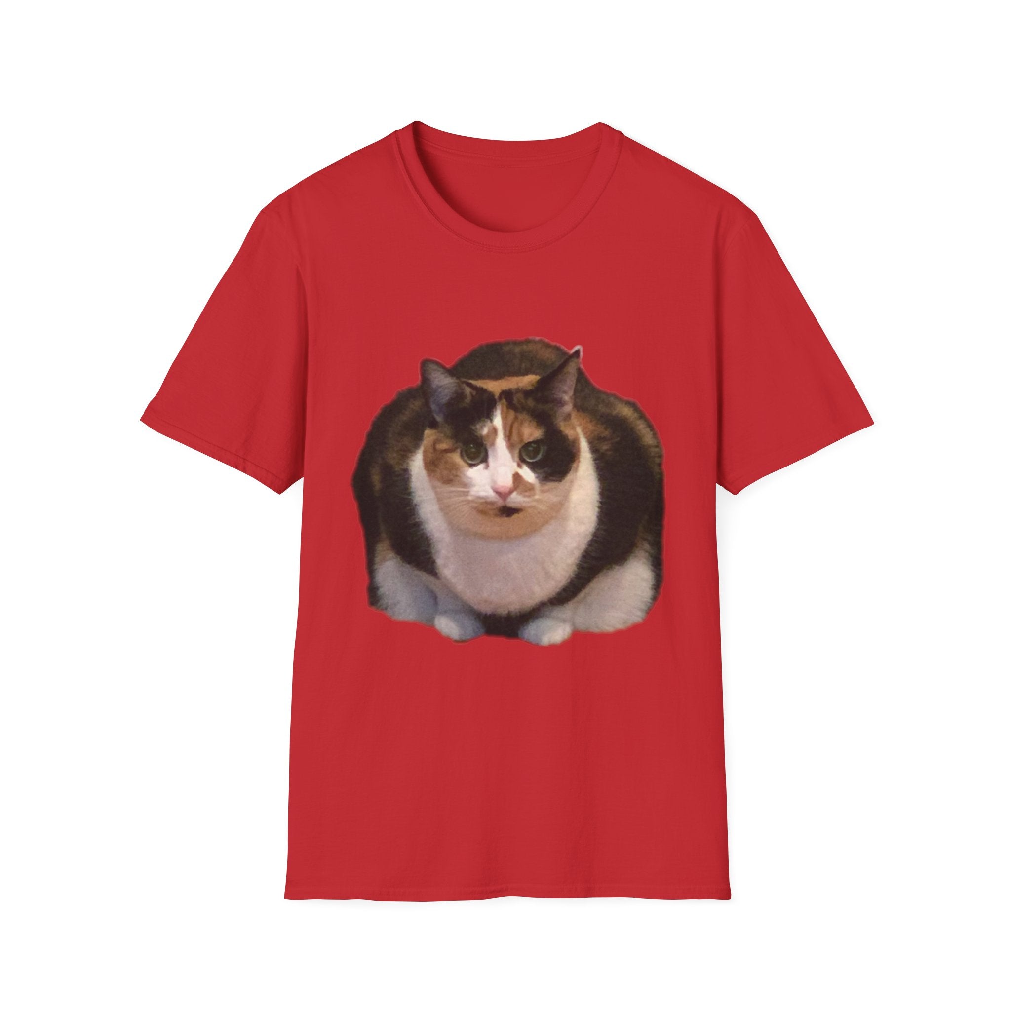 Noodle Cat Shirt