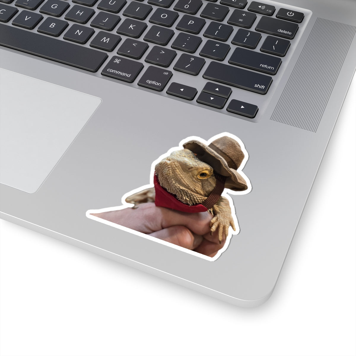 Bearded Dragon Cowboy Kiss-Cut Stickers, Fun Laptop Decals, Pet Lover Gifts, Unique Home Decor, Animal Stickers