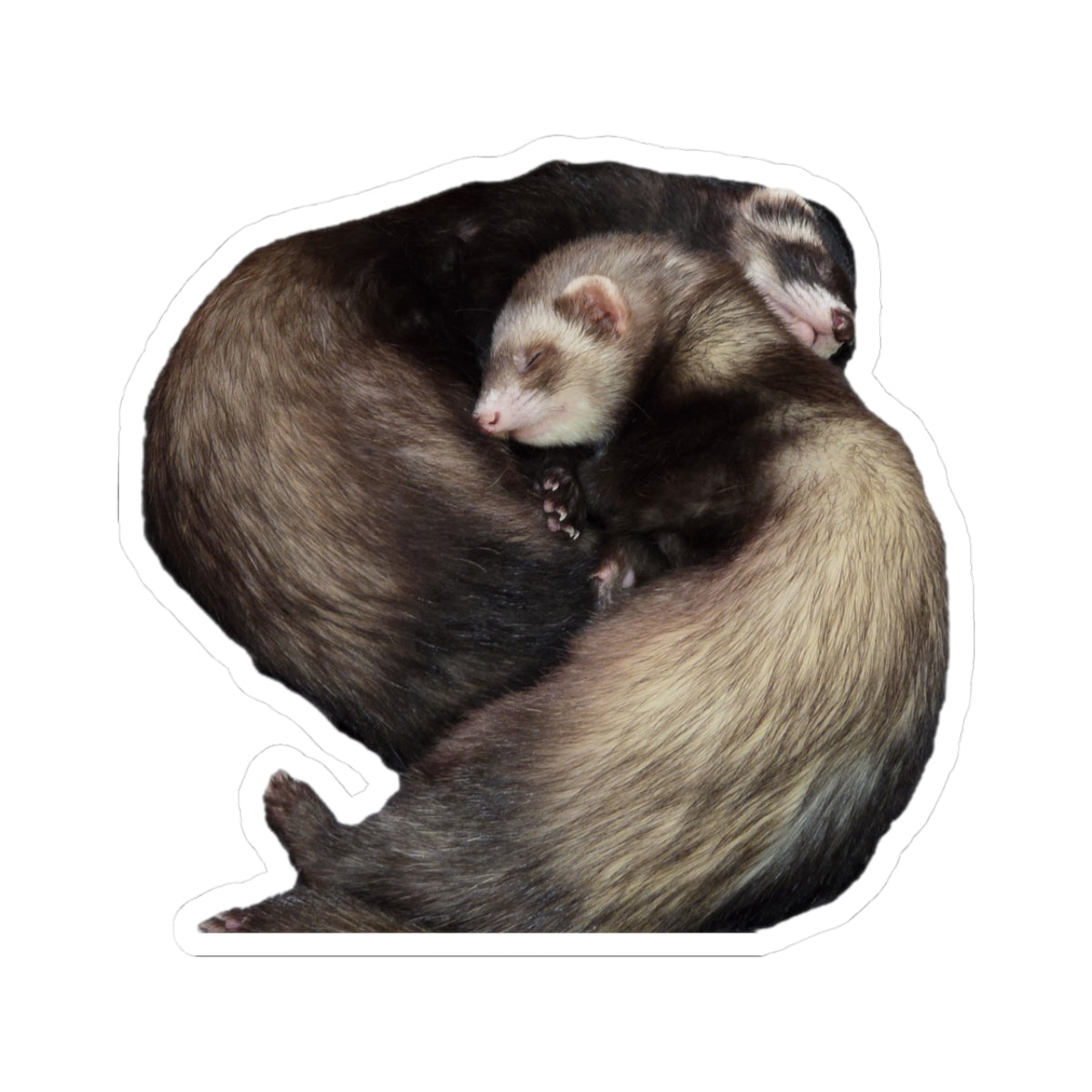 Ferret Love Kiss-Cut Stickers, Cute Animal Stickers, Ferret Lover Gifts, Pet Decor, Unique Laptop Stickers, Adorable Ferret Art