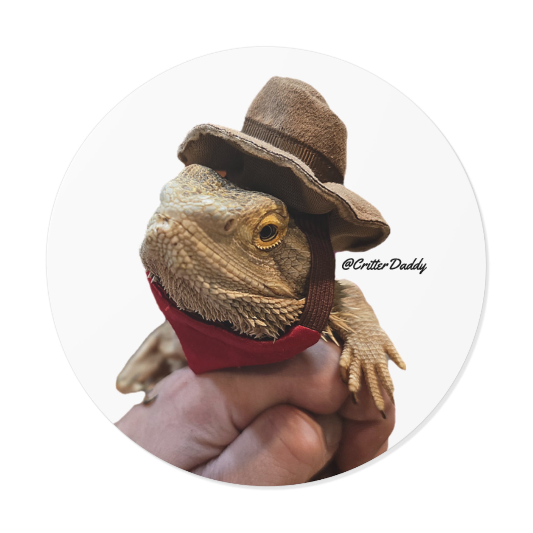 Cowboy Hercules Vinyl Sticker