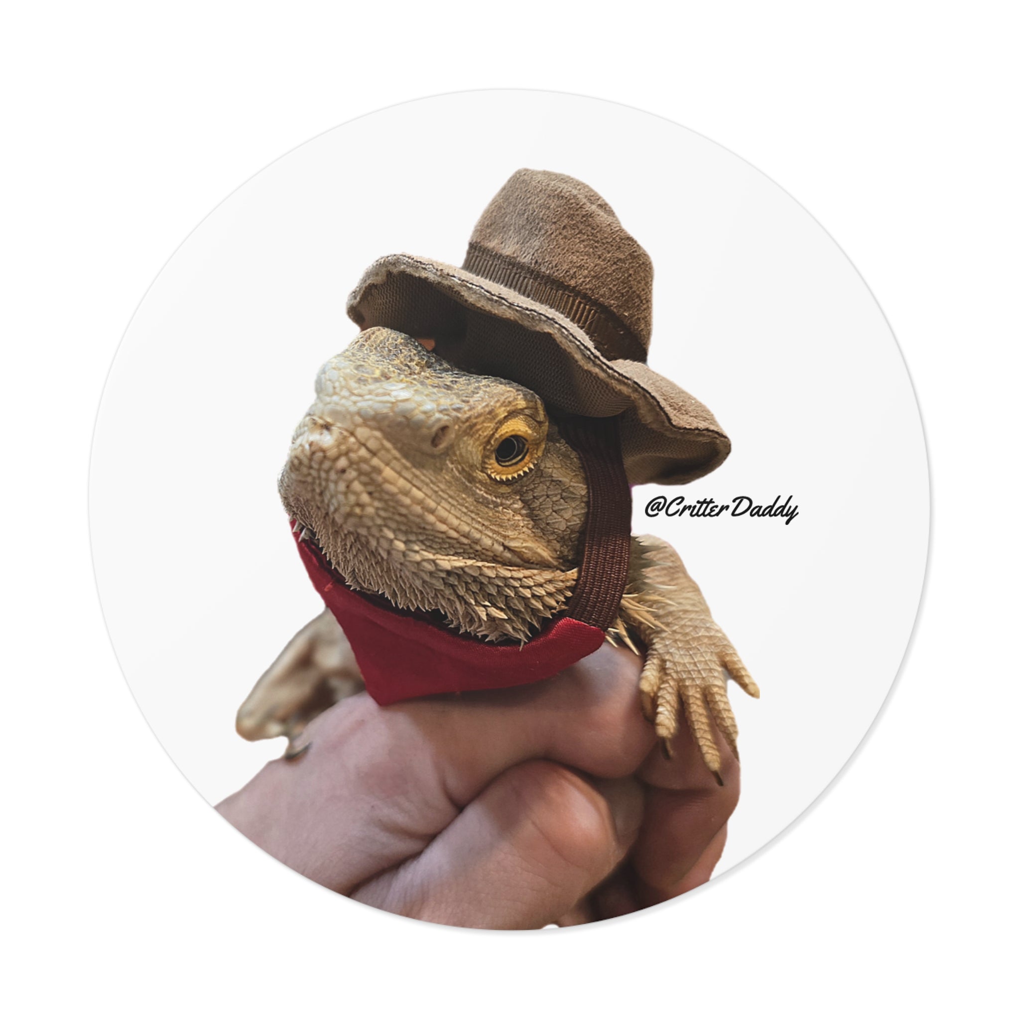 Cowboy Hercules Vinyl Sticker